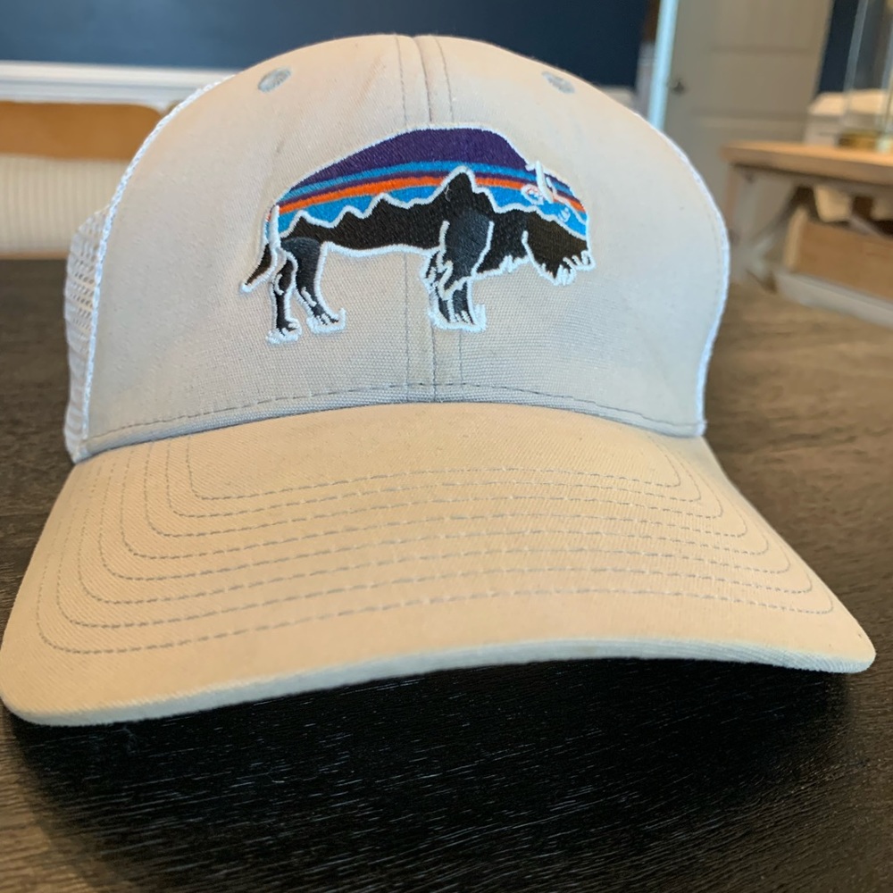 Patagonia Men's Fitz Roy Bison Trucker Hat light gray/white Snapback